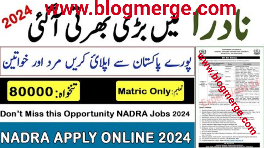 FIA Latest Jobs 2024